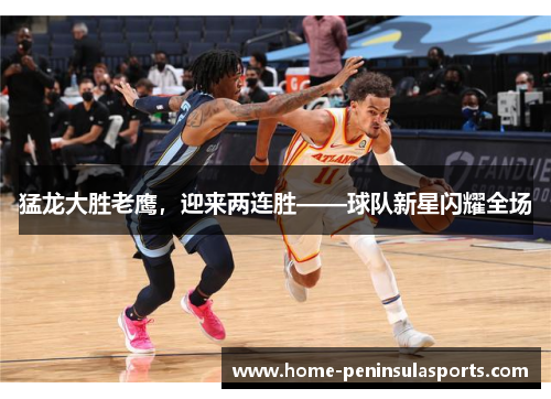 猛龙大胜老鹰，迎来两连胜——球队新星闪耀全场
